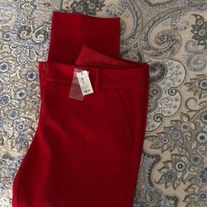 The Limited Size 12 Ankle Pant